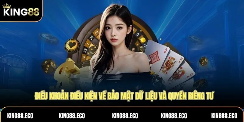 Điều khoản và điều kiện về bảo mật và quyền riêng tư