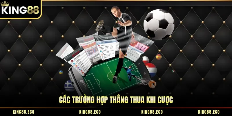 Các trường hợp thắng thua khi cược