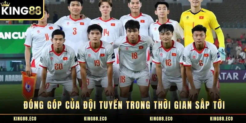 Đóng góp của đội tuyển trong thời gian sắp tới