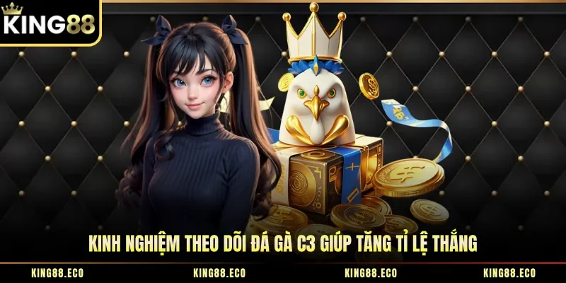 Kinh nghiệm theo dõi đá gà C3 giúp tăng tỉ lệ thắng