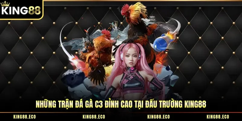 Những trận đá gà C3 đỉnh cao tại đấu trường King88