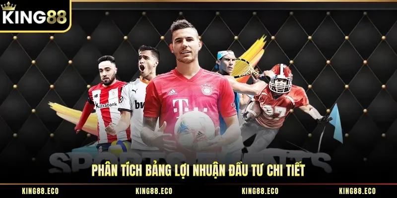 Phân tích bảng lợi nhuận đầu tư chi tiết